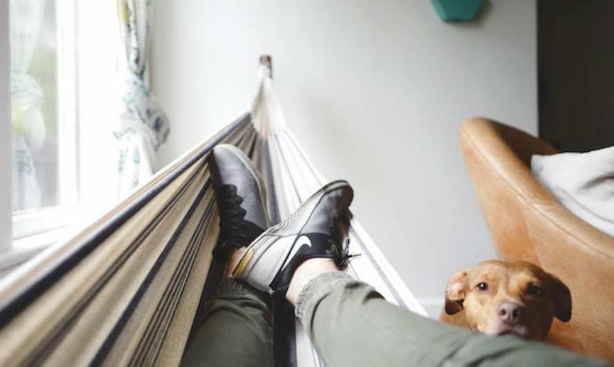 Los zapatos ideales para profesionales en minería: Comodidad y estilo en el trabajo