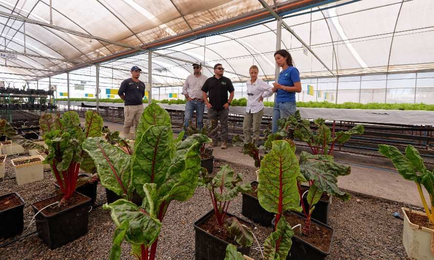 Agricultura en el Desierto: innovación y protección del planeta