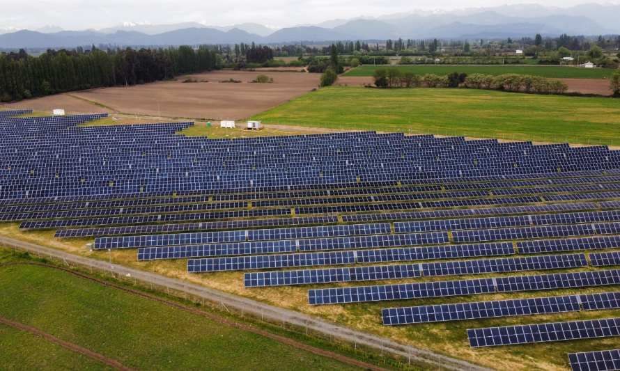 Colmenas fotovoltaicas: una innovación para producir energía limpia cuidando la biodiversidad