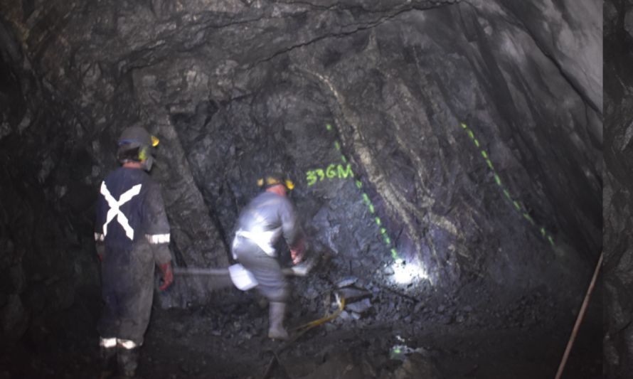 Altiplano Metals disminuye en 14% las ganancias por venta de cobre