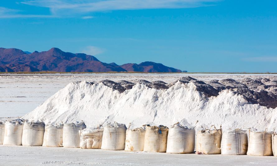 Superó a Codelco: SQM aportó al Fisco US$ 2.400 millones 