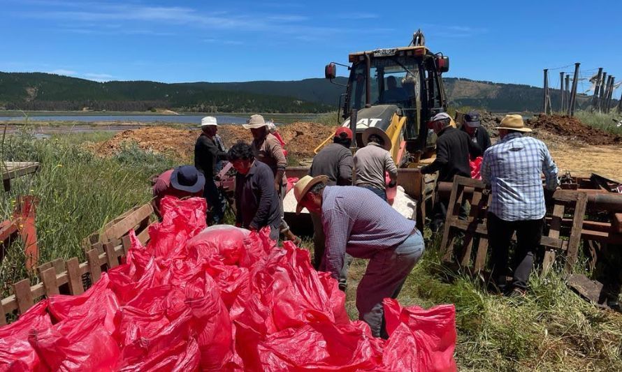 El Teniente adquiere 500 toneladas de sal a Cooperativa de Salineros de Lo Valdivia 