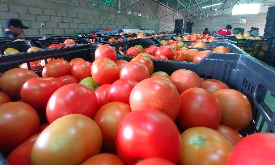 Proyectos 100% con energía solar impulsan la producción de agricultura y acuicultura en el norte de Chile