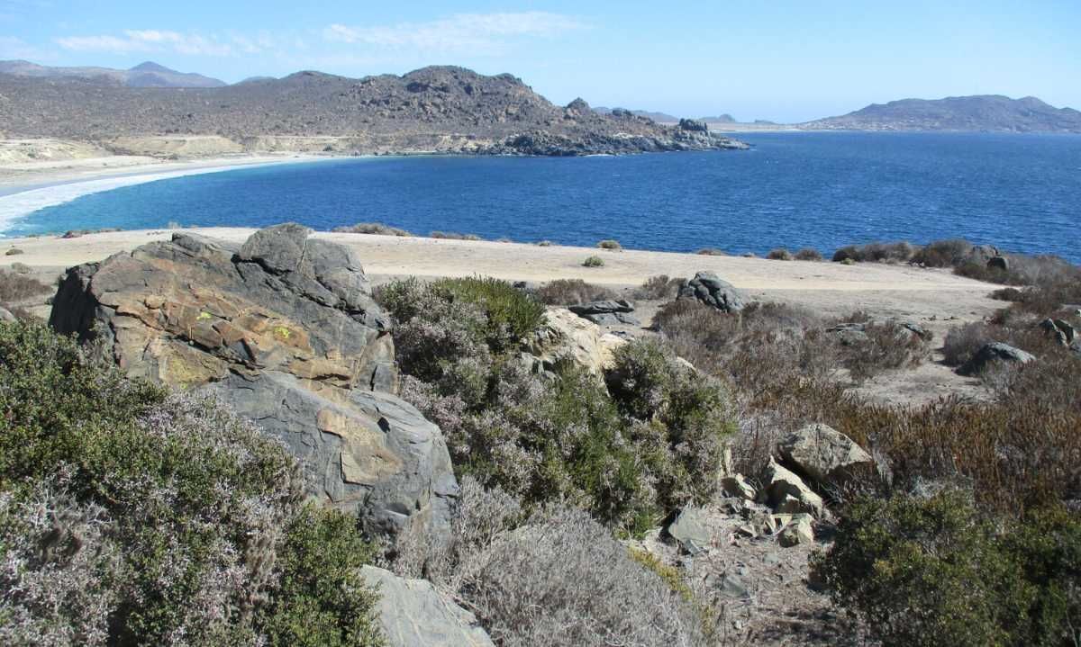 Crean Santuario de la Naturaleza Cruz Grande