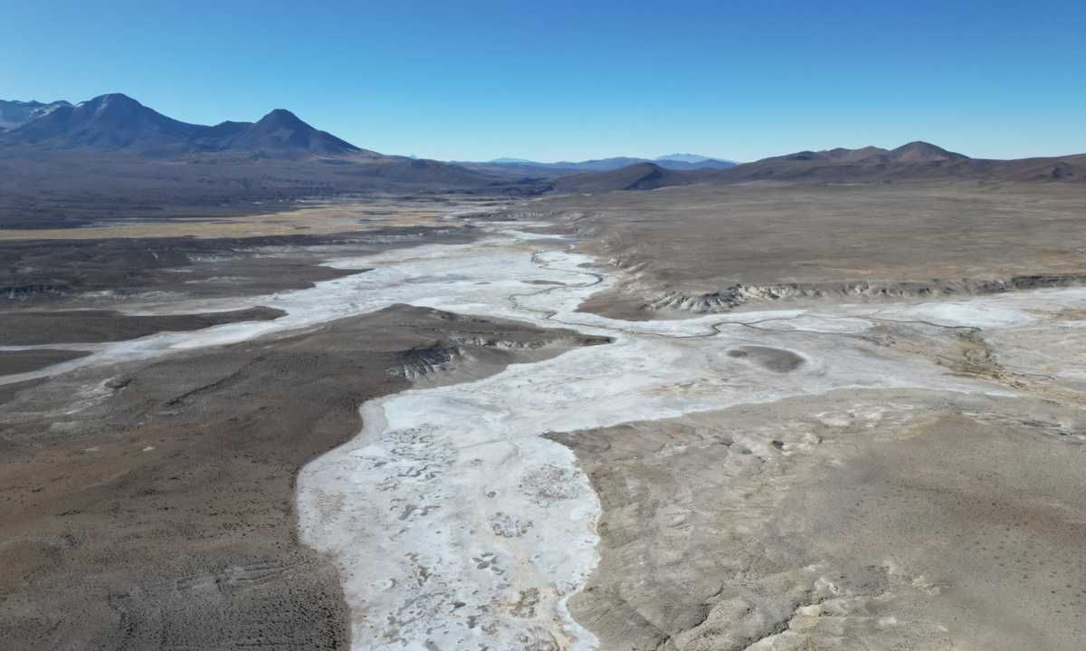 Declaran nulidad de 600 hectáreas en Salar de Maricunga