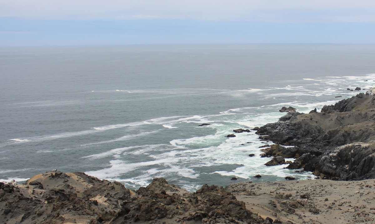 En el Día Mundial del Agua académica UCN destaca cambio cultural y desalinización como aspectos clave