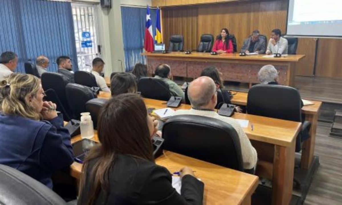 Gobierno y privados buscarán crear un Plan Regional de Transporte Sustentable en Atacama