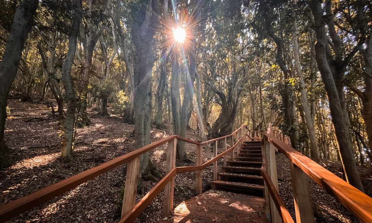El compromiso de Minera Los Pelambres con la protección de la biodiversidad en la Provincia de Choapa