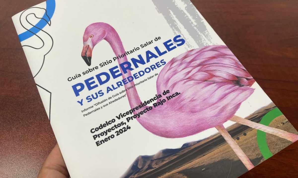 Codelco Salvador hace entrega de guía sobre Salar de Pedernales a estudiantes de la provincia de Chañaral