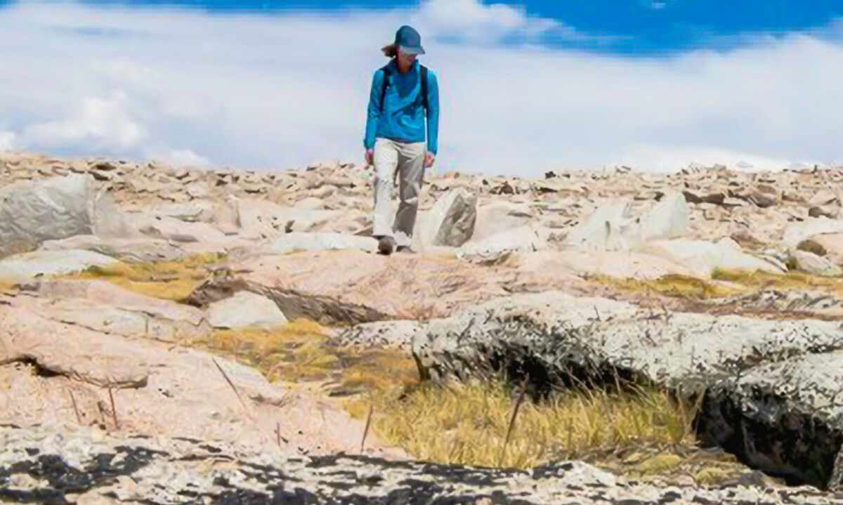 Compañías minera y empresas proveedoras presentes en FEXMIN 2024