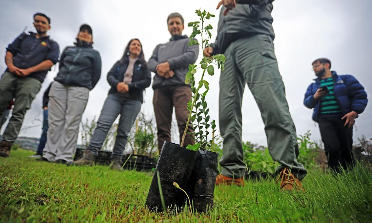Sector minero apoya la reforestación del Jardín Botánico de Viña del Mar
