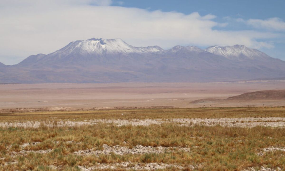 Minera Escondida recibe histórica multa por daño ambiental irreparable