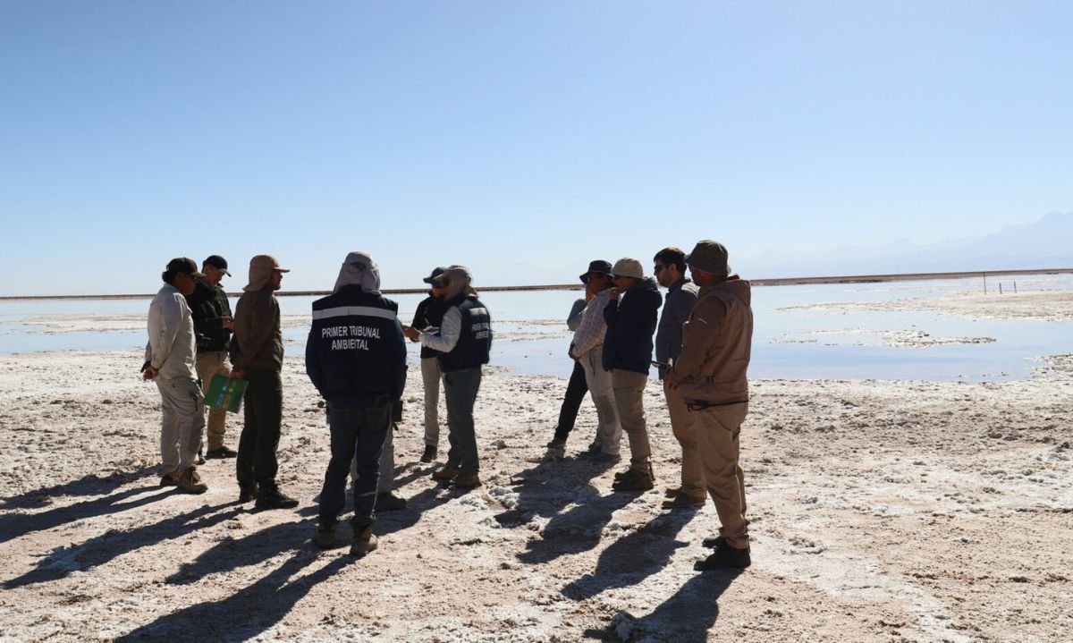 Tribunal aprueba conciliación en la demanda por daño ambiental