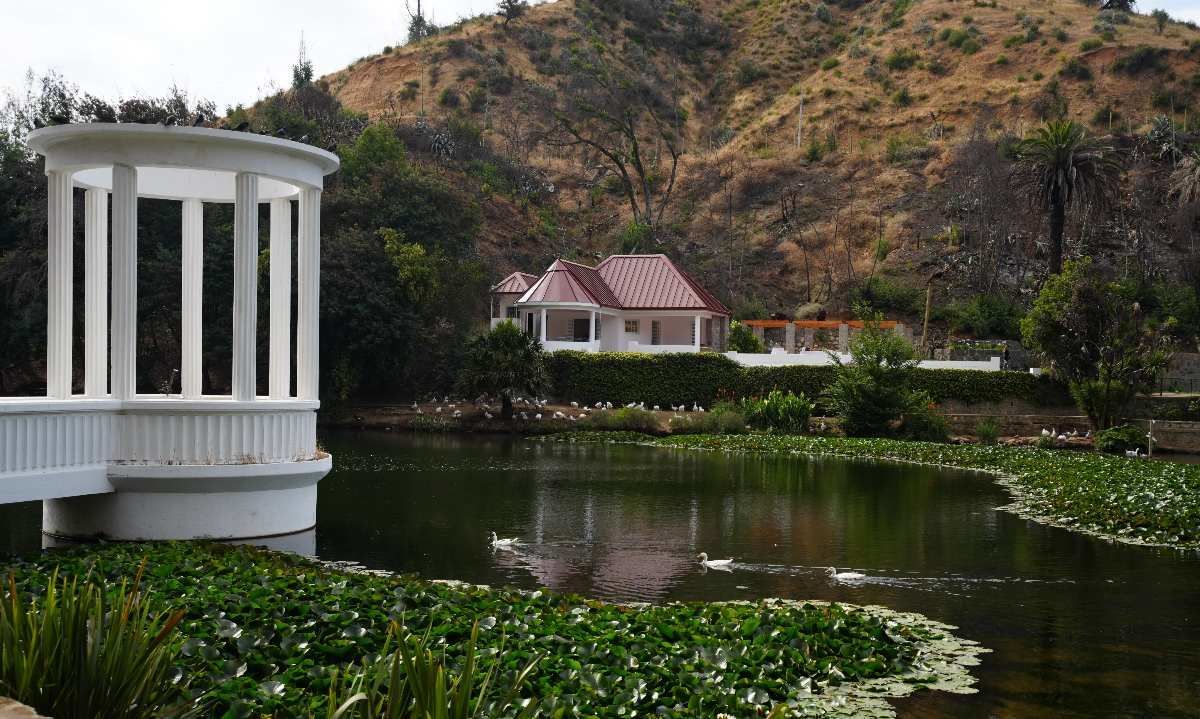Mira cómo va el avance de reconstrucción del Jardín Botánico de Viña del Mar