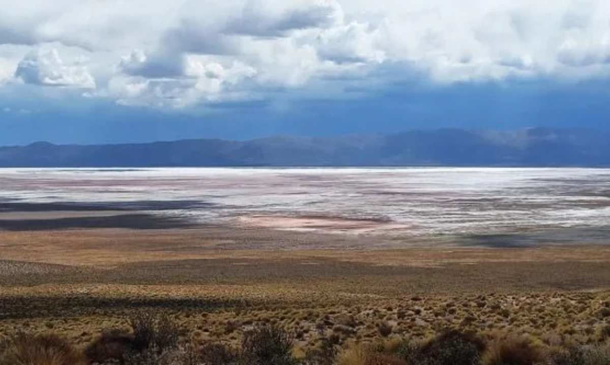 Argentina: Lithium Energy obtiene aprobación ambiental para continuar exploración en Solaroz