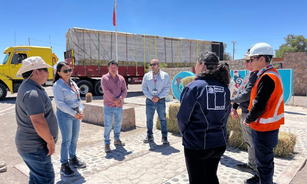 Entregan forraje a ganaderos afectados por el invierno altiplánico