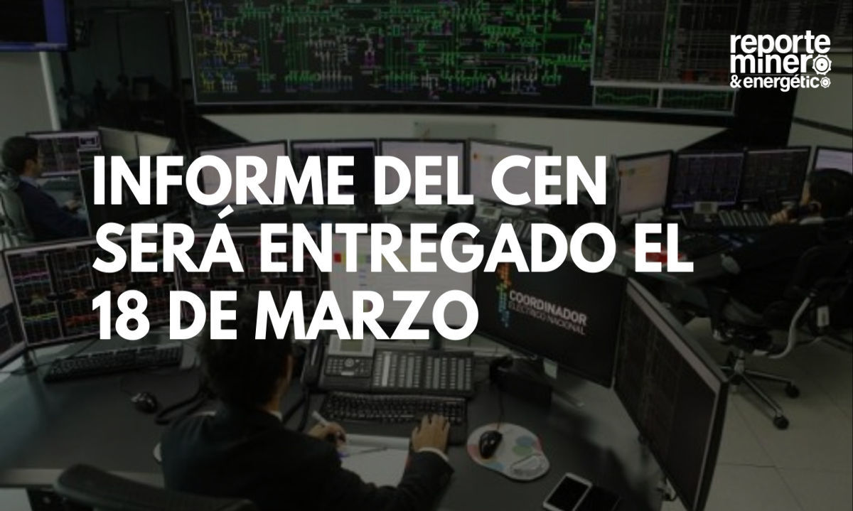 Informe del Coordinador será entregado el 18 de marzo
