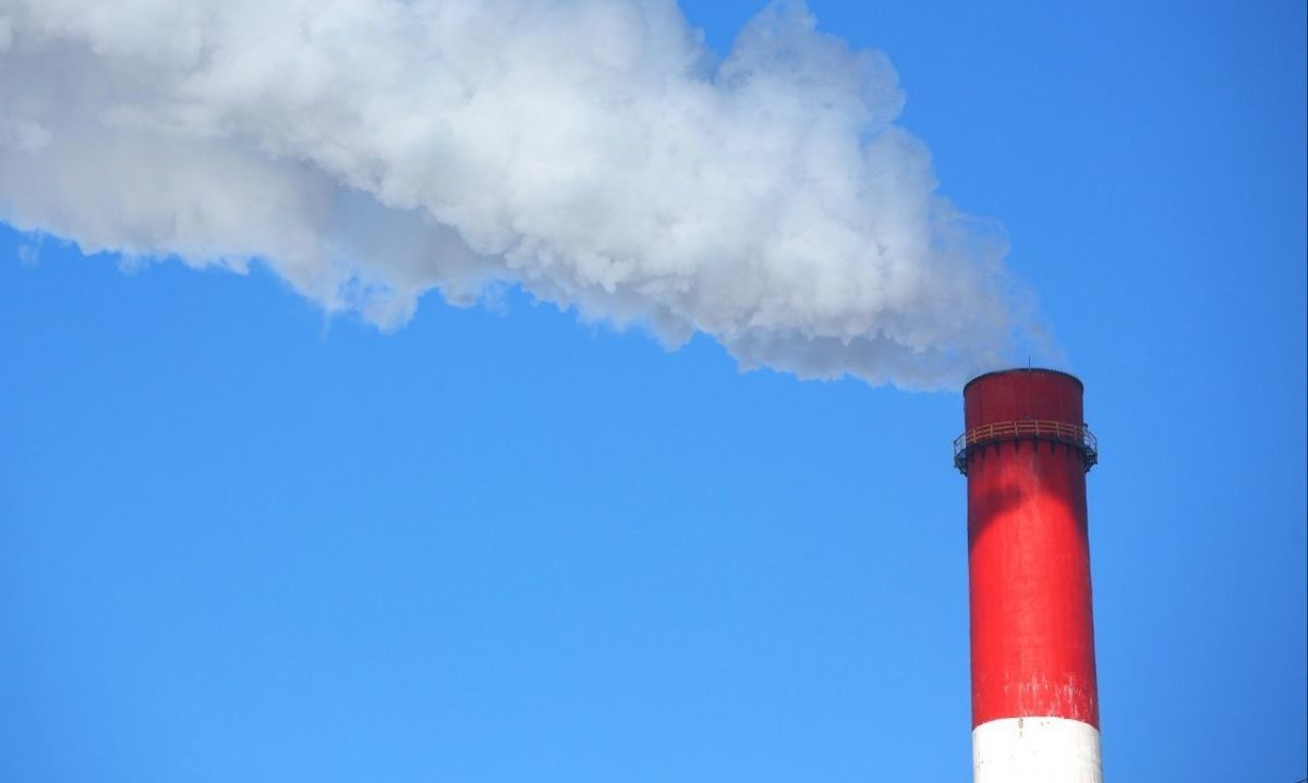 SMA publica listado de establecimientos afectos al pago del Impuesto Verde de 2024