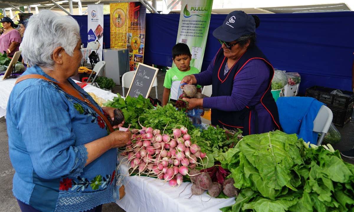 Minera El Abra lanza cuarta versión del Fondo Agrícola en Chiu-Chiu