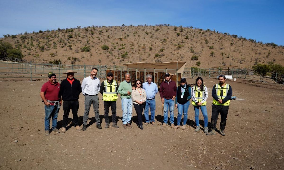 Codelco Andina apoya a los arrieros de Chacabuco con obras que fortalecen sus tradiciones