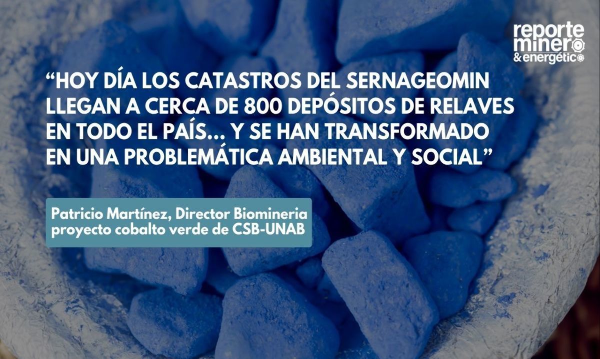 Cobalto Verde: biotecnología chilena para transformar relaves en oportunidad estratégica