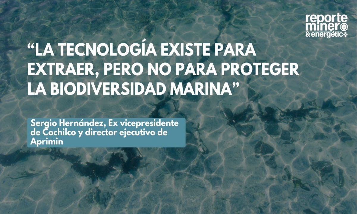 Minería submarina: potencial mineral, impacto ambiental y tensiones regulatorias