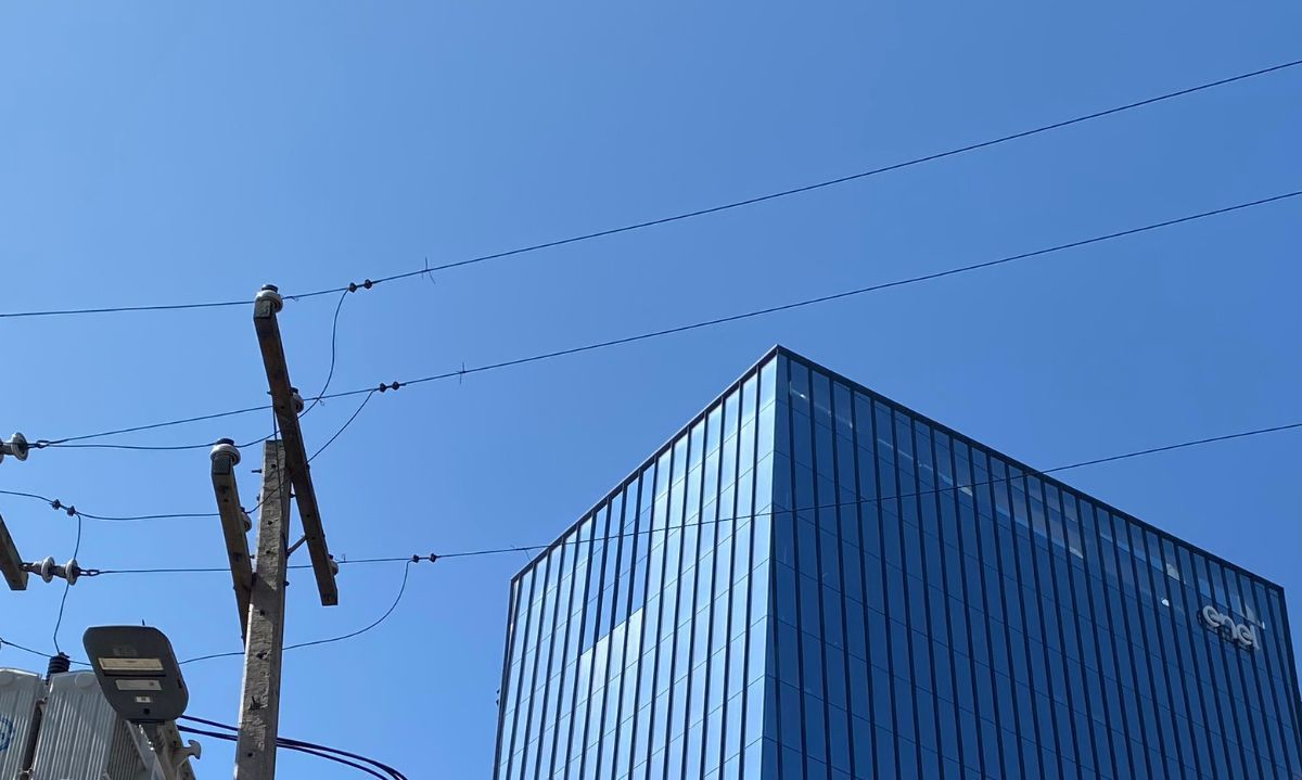 Nueva CEO de Enel Distribución enfrenta a la SEC por exigencias de tala y poda de árboles