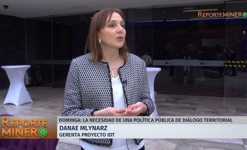 Danae Mlynarz: “Falta diálogo territorial temprano en casi todos los proyectos”