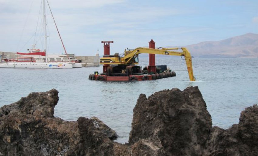 Científicos piden resguardar la biodiversidad ante el desarrollo de la minería submarina