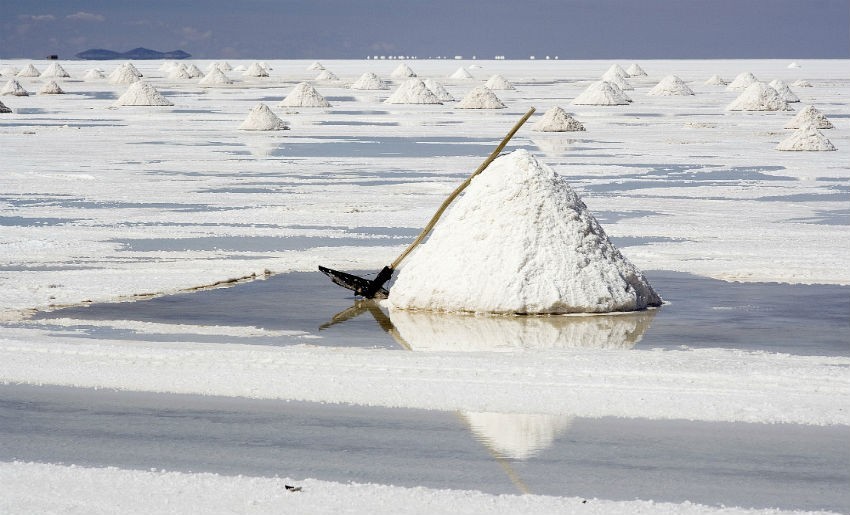 Asociación liderada por Lithium Power desiste de demanda contra el gobierno