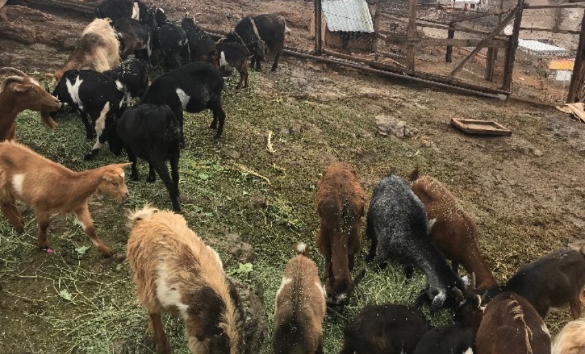 Minera El Abra ayuda a las comunidades de El Loa afectadas por intensas lluvias