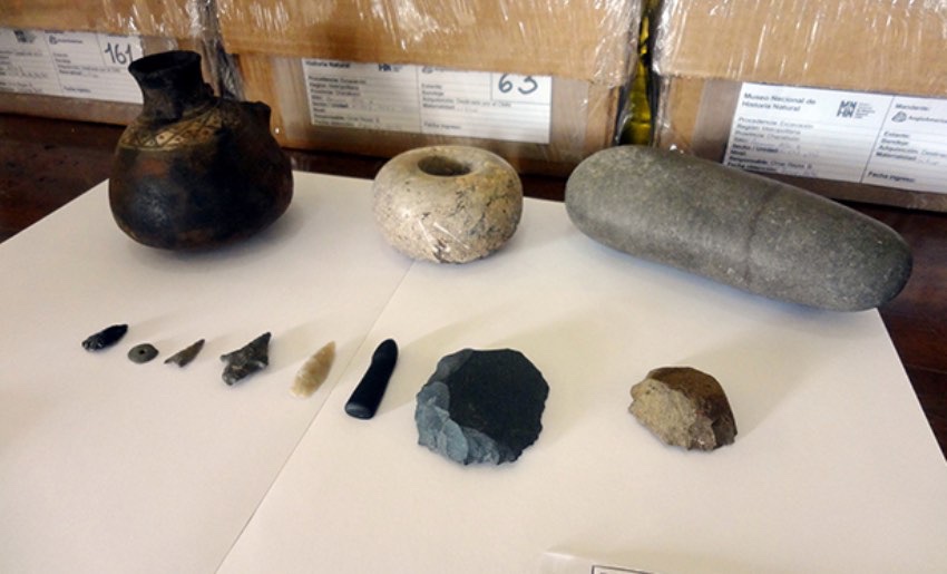 Anglo American entrega valioso material arqueológico al Museo Nacional de Historia Natural