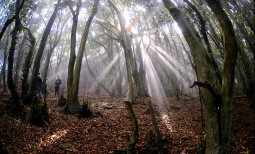 Cerro Santa Inés de Los Vilos se declara como Santuario de la Naturaleza