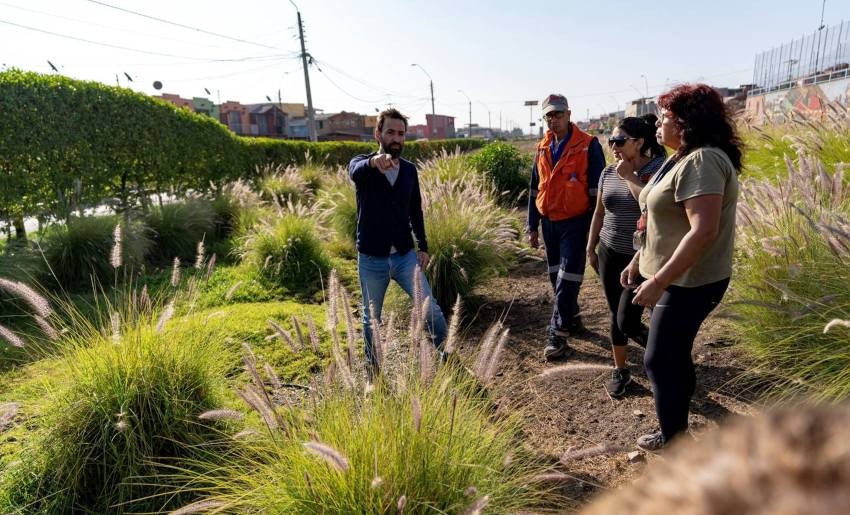 Antofagasta y Calama tendrán más barreras arbóreas en la zonas adyacentes a la vía del tren