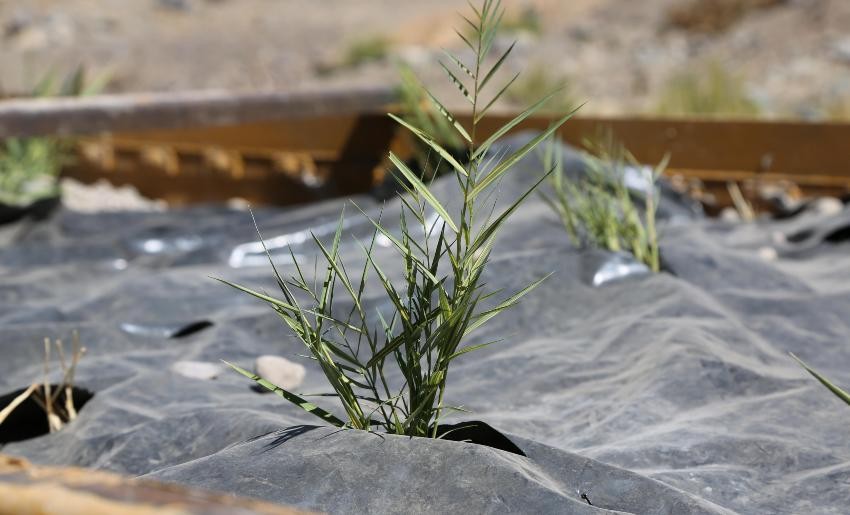 Conoce esta nueva tecnología para el tratamiento de drenaje ácido de roca (DAR)