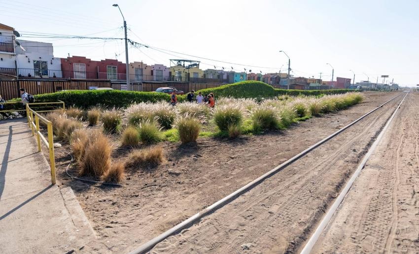 FCAB promueve iniciativa de forestación urbana en región de Antofagasta