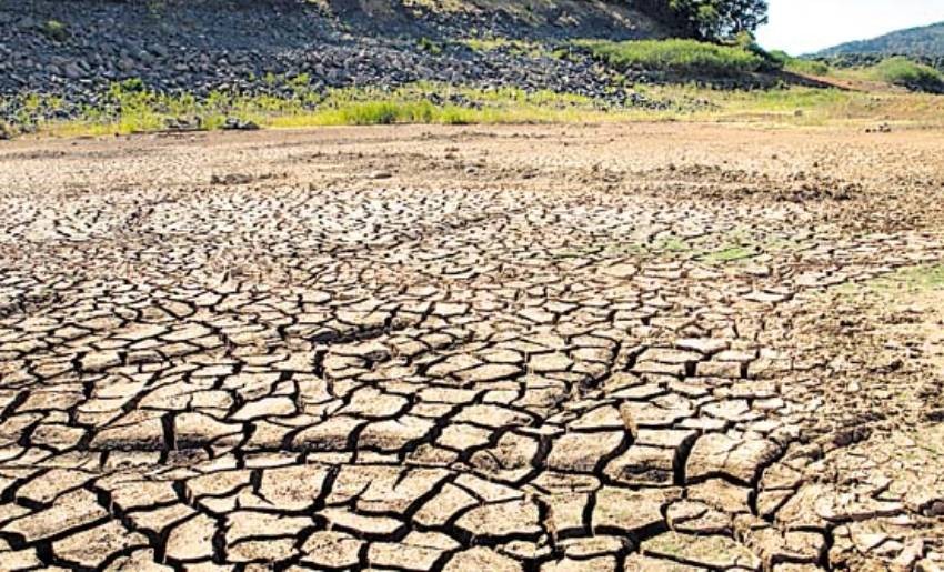 Minera Los Pelambres entregó alimentos para combatir muerte de animales