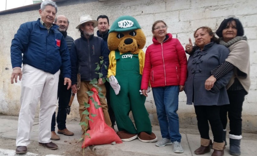 Junta de Vecinos San Expedito 3.0 de Tierra Amarilla recibe apoyo en proyecto ecológico
